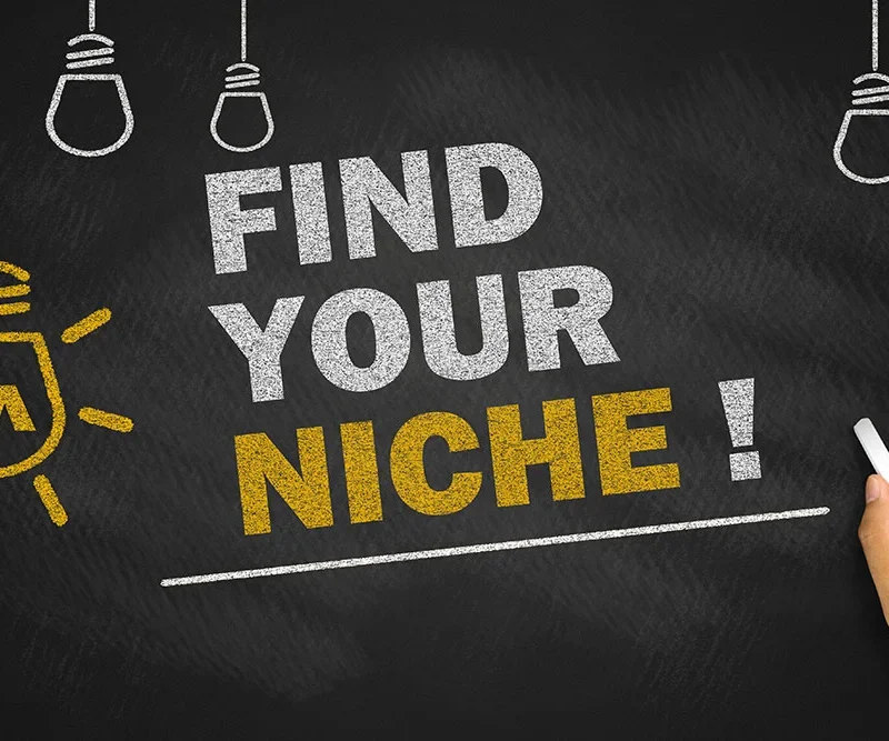 an image about niche selection stating 'find your niche.'